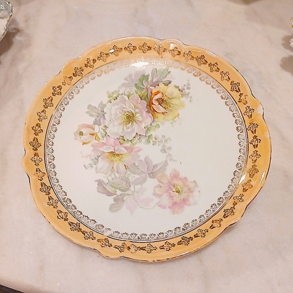 BEAUTIFUL GERMANY Porcelain Antique Floral PLATE #20